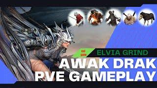 BDO| Drakania  Awakening PVE gameplay in Elvia Server | Black Desert Online
