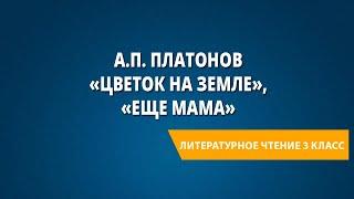 А.П. Платонов «Цветок на земле», «Еще мама»