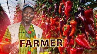 Why i left  UK to invest in Gas  &  farming in The Gambia