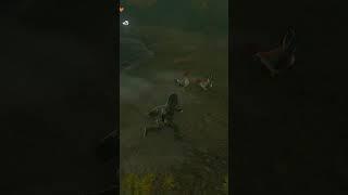 Easy Unlimited Egg Farming! South Akkala Cucco Secret! | Zelda, TotK Shortorial