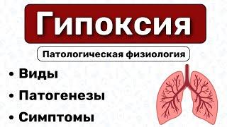 Гипоксия: виды, патогенез, парциальные давления / Патологическая физиология