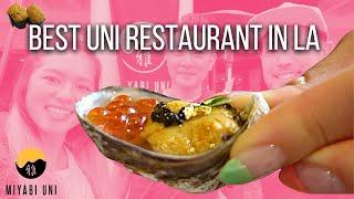 Hokkaido Uni vs Santa Barbara Uni - MIYABI UNI Restaurant (Best in LA)