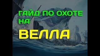 Гайд по фарму Велла в Black Desert online (BDO)