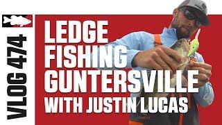 Justin Lucas Ledge Fishing on Guntersville - Tackle Warehouse VLOG #474