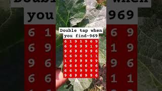 Double tap when you find-969 #shorts #puzzlegame #mathstricks