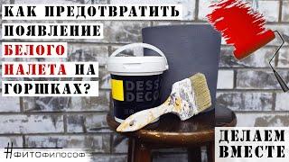 БЕЛЫЕ ПЯТНА на керамических ГОРШКАХ? Я знаю как ПРЕДОТВРАТИТЬ их появление навсегда!