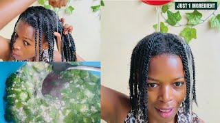 OKRA DID THIS TO MY NATURAL HAIR  | NATURAL HAIR TREATMENT | Shivan Kay