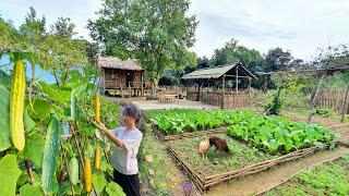 The process of Gardening, Harvesting, Cooking. Raising chickens, ducks... Alone in the mountains