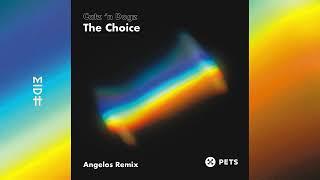 Catz 'n Dogz - The Choice (Angelos Remix)