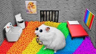 Colorful POP IT Prison | DIY Hamster Maze