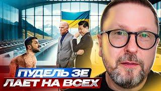 Пудель Зе лает на всех