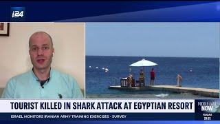 Shark attack in Egyptian resort leaves Italian tourist dead