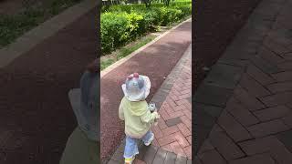 #出门溜娃 #人类幼崽整天忙个不停