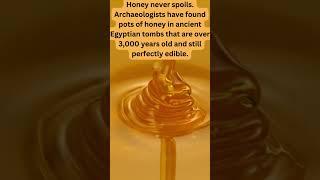 3 USELESS FACTS YOU DIDNT KNOW #1 #facts #trending #viral #memes