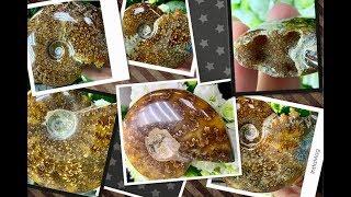 AMMONITES  АММОНИТ  Магическая спираль  вселенной  Энциклопедия Ювелирных Камней 