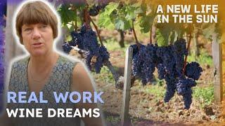 Châteaus to Coastal Restaurants | A New Life In The Sun Compilation
