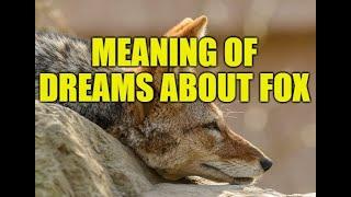 Meaning of Dreams About Foxes - Interpretation of fox dreams