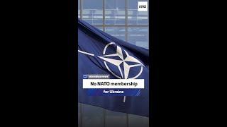 Mark Kimmitt: No NATO membership for Ukraine
