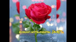 Nobody  african instrumental [AvB]pro