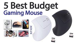 5 Best Budget Gaming Mouse End of 2024 | Price | Review | Unboxing | DPI Check