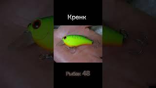 Лучшие приманки на щуку. Ч3. #рыбалка #fishing #рыба #щука #рыбак #карп #carpfishing #рыбы #carp