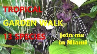 The Plant Traveller: Tropical Garden Walk  #fairchildtropicalgarden