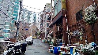 [4K SEOUL] Walking in the Snowy Residential Area in Wangsimni, Seoul