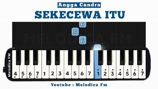 Sekecewa Itu (Dimana Letak Hatimu Yang Dulu) | Easy Pianika Tutorial