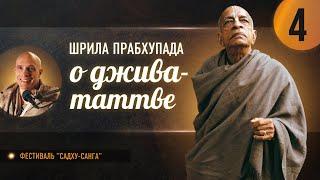 "Шрила Прабхупада о джива-таттве", день 4 — фестиваль "Садху-санга", 26 сентября 2024г.