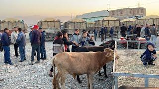 НАРХИ КАХ ГОВ БОЗОРИ ФРУНЗА КАХРАМОН БУКА ГУСФАНД ГОВ КУЙ МОЛ БУЗОК ГУСАЛА 23 сентября 2023 г.