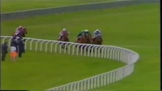 Top 10 Irish Derby Winners 1989 - 2011