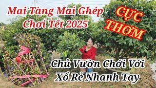  LANH 0985815710 MAI GIẢO RIN CHƠI TẾT XỔ RẺ CỰC NGON BAO SHIP 11/01/2025 | Bến Tre Ơi