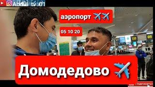 Аэропорт домодедово чартерный рейс 05 10 20