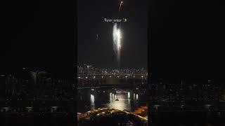 Happy new year 2025 #happynewyear #2025 #happynewyear2025