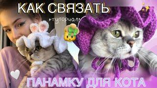 TUTORIAL как связать панамку для кота ∩^ω^∩