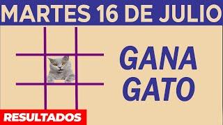 Sorteo Gana Gato del Martes 16 de Julio del 2024.