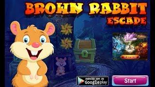 G4K Brown Rabbit Escape Walkthrough [Games4King]