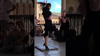 #shorts  Flamenco  | Seville | #olgatravel