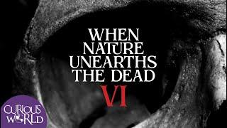 When Nature Unearths the Dead VI