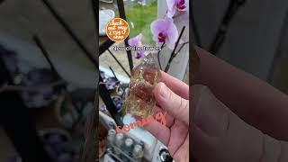 #citrine #stunningcrystals #thewitchyroom