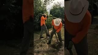 They treated his yard like a complete dump