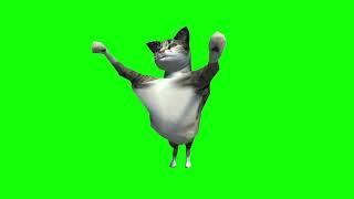 Crazy Opera Singing Animated Cat Green Screen Clips Copyright Free