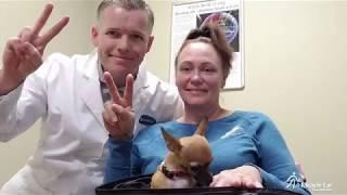 Paving the Way: Miracle-Ear Foundation® Top Provider 2018