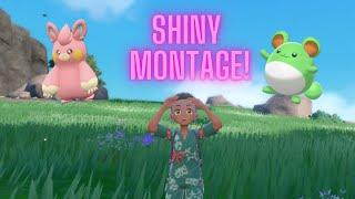 Kensaku | Shiny Montage