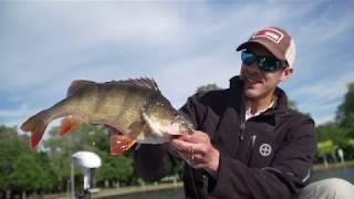 Tackle Tactics TV Ep. 8 - How to Catch Redfin Perch