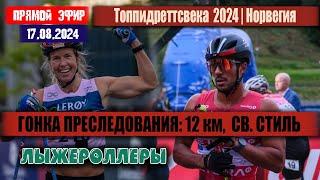 Гонка преследования на 12 км,  свободный стиль. ФИНАЛ // Топпидреттсвека 2024 // 17.08.2024