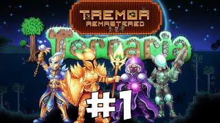 Terraria 1.3 EXPERT Tremor Mod #1 || Новые предметы!