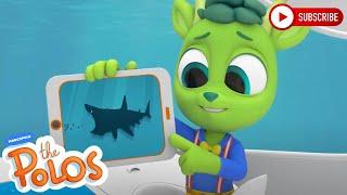 Sharks! | Adventure Learning | MarcoPolo World School | Learn At Home