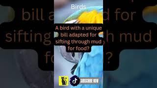 Amazing Animal Facts Unveiled Mammal Bird Reptile Fish Amphibian Discover unknow | Like & Subscribe