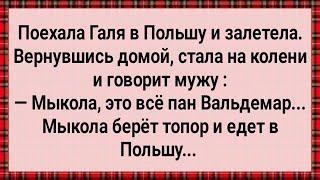 Как Галя в Польше Залетела! Сборник Свежих анекдотов! Юмор!